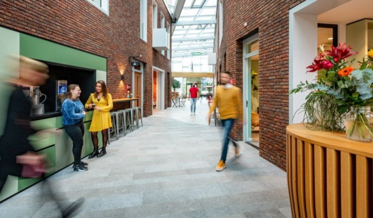 werkgeluk creëren